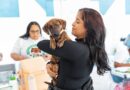 Alcaldía del Distrito Nacional continúa jornadas de esterilización de perros y gatos Alcaldía del Distrito Nacional continúa jornadas de esterilización de perros y gatos