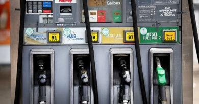 Gobierno "ajustará" precios de los combustibles y luego intentará congelarlos por tres meses