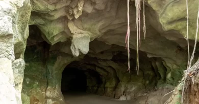 Abinader declara de utilidad pública terrenos del Monumento Natural Cuevas del Pomier para fortalecer su protección ambiental Abinader declara de utilidad pública terrenos del Monumento Natural Cuevas del Pomier para fortalecer su protección ambiental