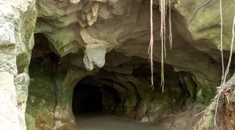 Abinader declara de utilidad pública terrenos del Monumento Natural Cuevas del Pomier para fortalecer su protección ambiental Abinader declara de utilidad pública terrenos del Monumento Natural Cuevas del Pomier para fortalecer su protección ambiental