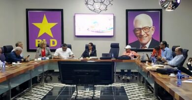 PLD insiste en "consulta interna" pese a advertencia de la JCE sobre su legalidad PLD insiste en "consulta interna" pese a advertencia de la JCE sobre su legalidad